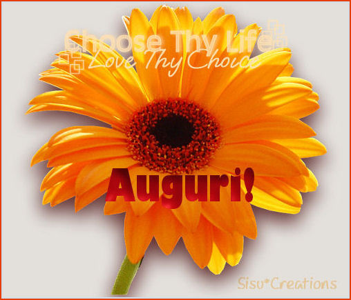 Sisu Creations
