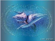 Sisu: Delfini