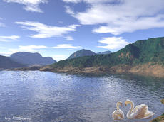 Sisu: Lago dei Cigni