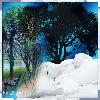 Sisu: Ricordi e sogni