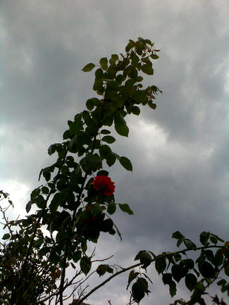 nuovole a Lauco-Carnia-Friuli