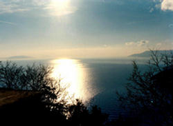 Logo: Silenzio e solitudine